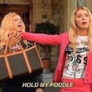 Meet your Posher, Hazel